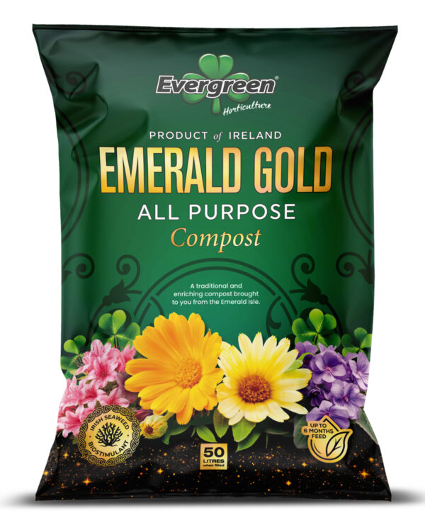 Evergreen-Emerald-gold-600x748